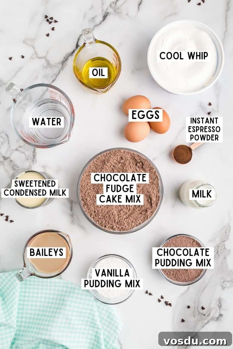 Baileys Irish Cream Poke Cake Recipe for Rich Dessert 4 Ingredients on countertop: oil, eggs, cool whip, water, instant espresso powder, milk, chocolate pudding mix, vanilla pudding mix, baileys, sweetened condensed milk, chocolate fudge cake mix