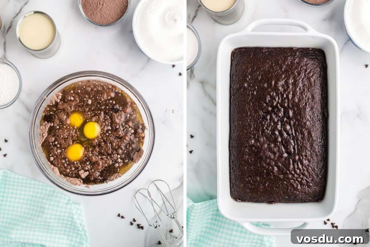 Baileys Irish Cream Poke Cake Recipe for Rich Dessert 6 chocolate cake mix ingredients in mixing bowl and 9 x 13 baking pan with baked chocolate cake