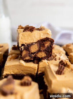frosted peanut butter brownie with peanut butter cups inside.