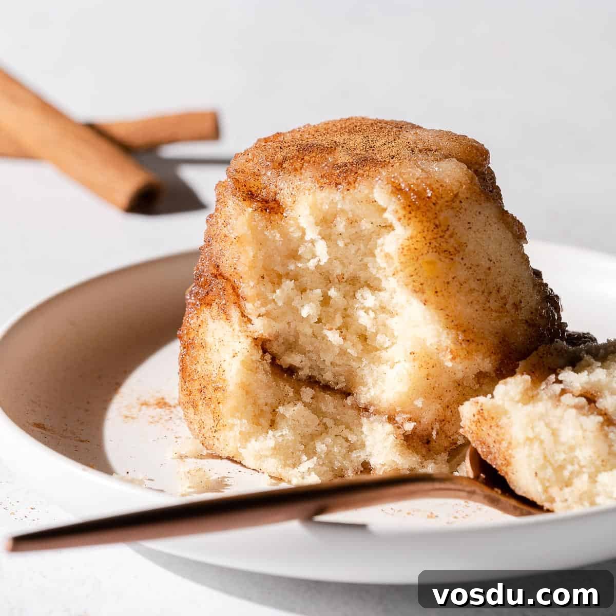 3-Minute Oreo Mug Cake Recipe You Can Make in a Microwave 13 snickerdoodle mug cake on white plate