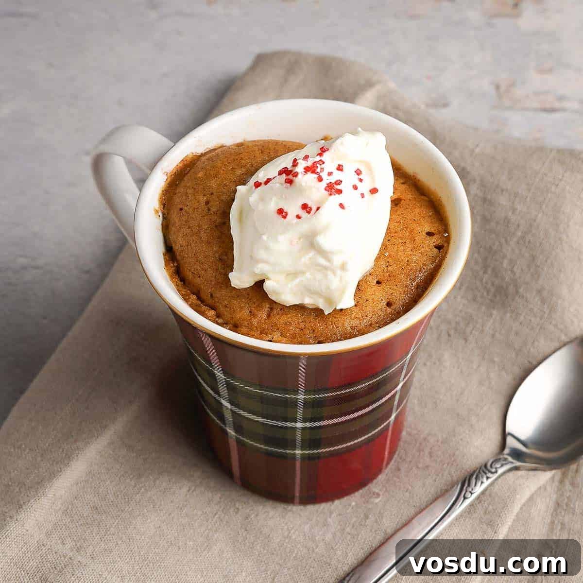 3-Minute Oreo Mug Cake Recipe You Can Make in a Microwave 15 Cake in plaid mug topped with whipped cream and sprinkles