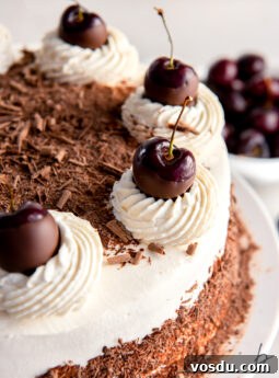 Classic Bûche de Noël Recipe: Traditional French Yule Log Cake 11 top of black forest cake with whipped cream, cherries and chocolate shavings.