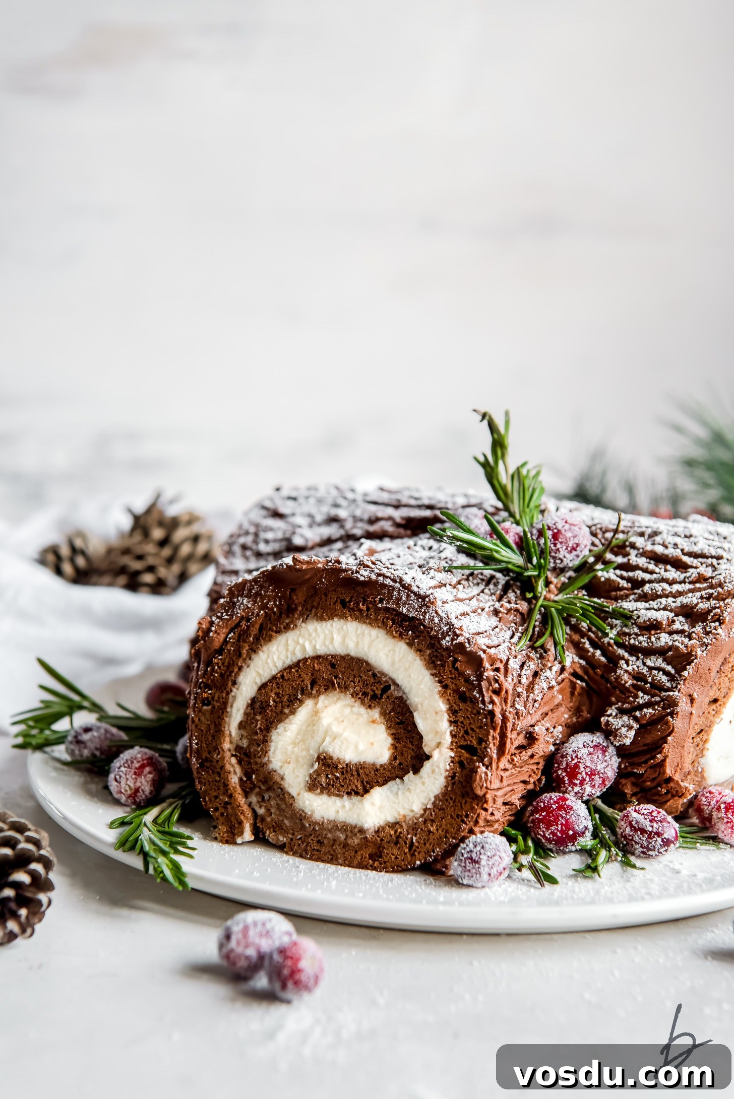 Classic Bûche de Noël Recipe: Traditional French Yule Log Cake 7 mascarpone filling swirl in chocolate yule log cake.