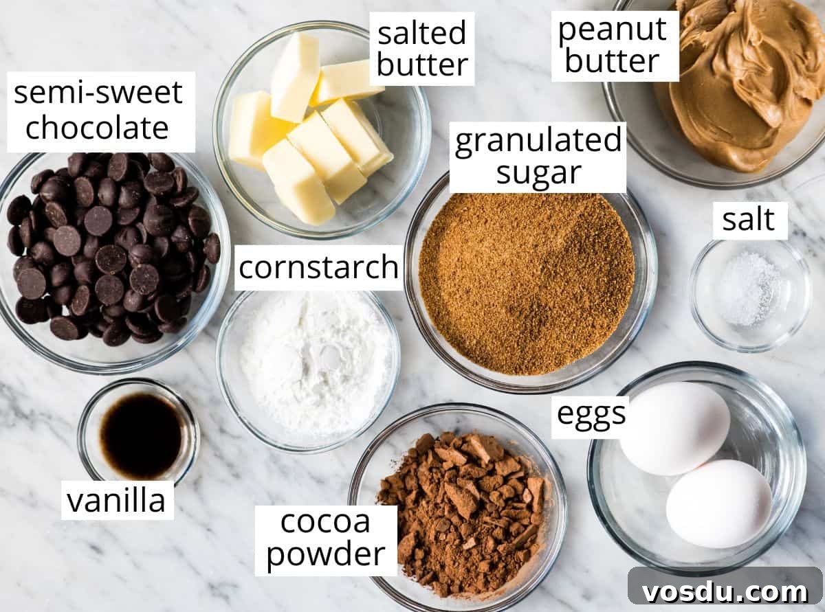 Flourless Peanut Butter Brownies Recipe — Fudgy & Gluten-Free 3 overhead photo of the labeled ingredients in this Flourless Peanut Butter Brownies recipe