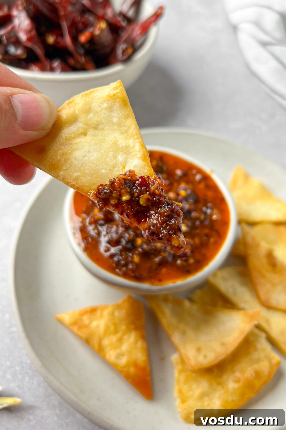 A tortilla chip with salsa macha on it.
