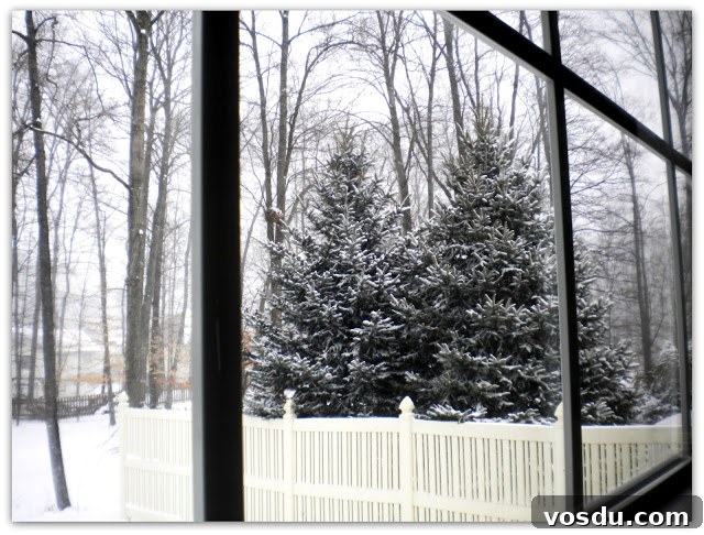 Snowy scene 2