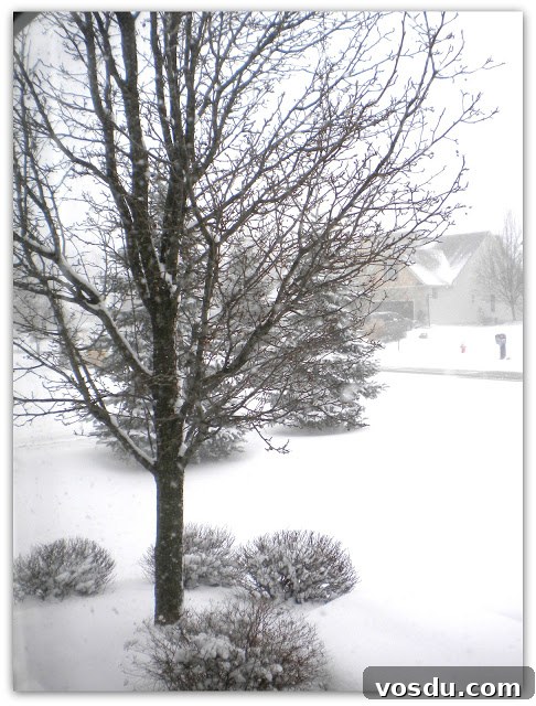 Snowy scene 4