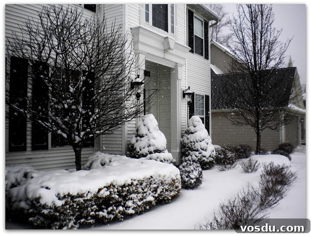 Snowy scene 5