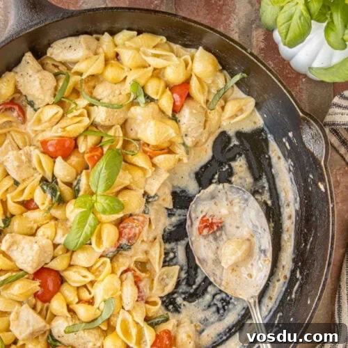 Creamy chicken and spinach Alfredo pasta with shell pasta and cherry tomatoes in a black cast iron skillet