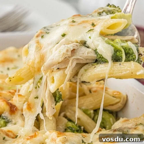 creamy chicken and broccoli alfredo casserole with melted mozzarella and penne pasta close up