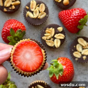 Strawberry Snickers Dessert: Creamy Peanut Caramel Bars 4 A hand holds a chocolate cup topped with a sliced strawberry, reminiscent of a strawberry Snickers treat. Other chocolate cups with peanuts and whole strawberries are arranged on a gray surface in the background.