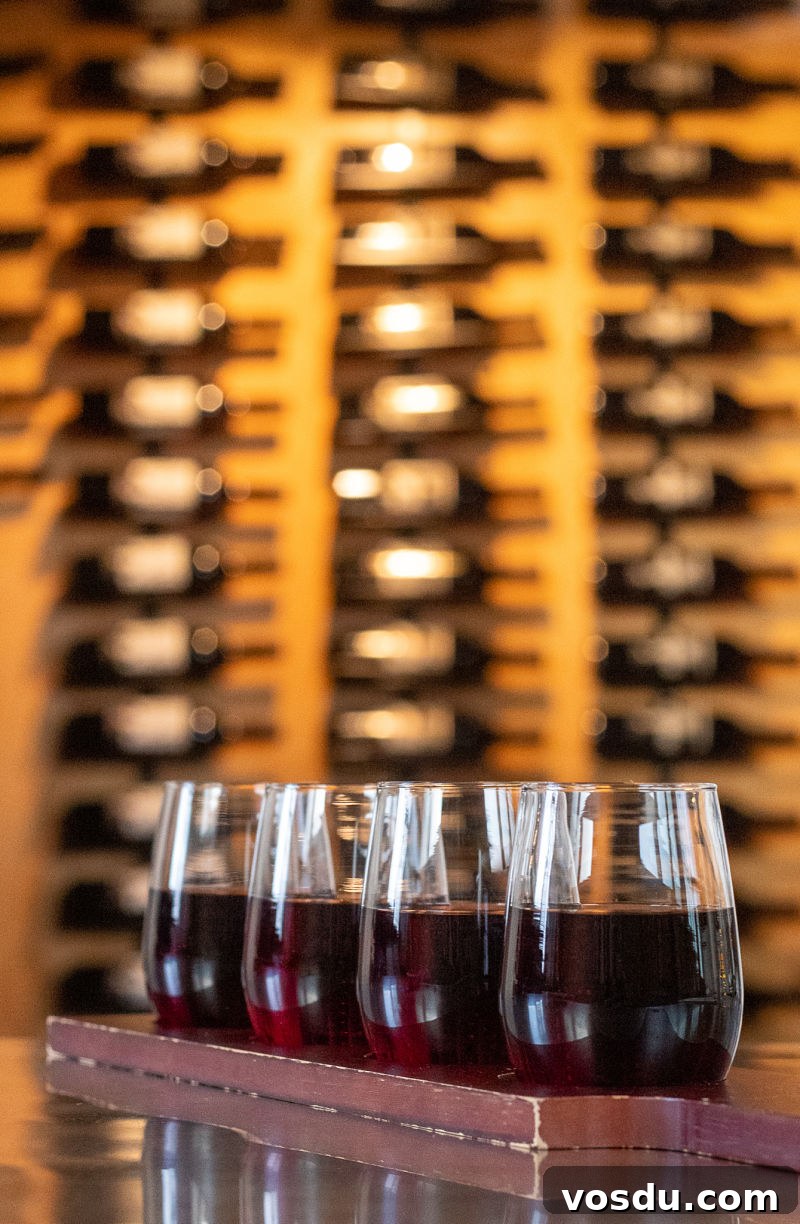 Food, Wine & Magic: Explore Checkered Past Winery Experiences 2 red wine flight in front of wine cellar Checkered Past Winery
