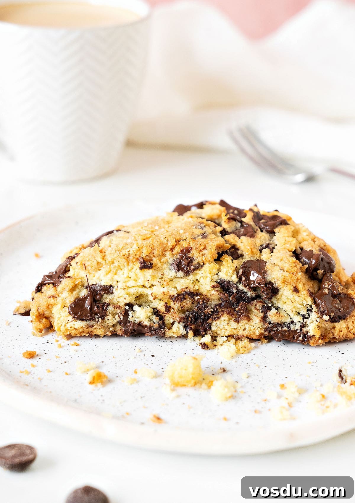 Irresistible Chocolate Chip Scones Recipe for Perfect Breakfast 8 Single chocolate chip scone on a white plate. White background.