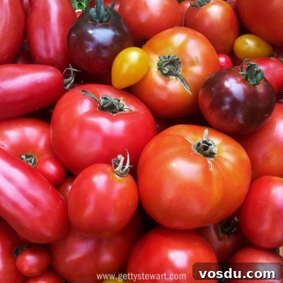 Safe Home Canning for Tomatoes: Step-by-Step Guide 2 tomatoes - watermarked