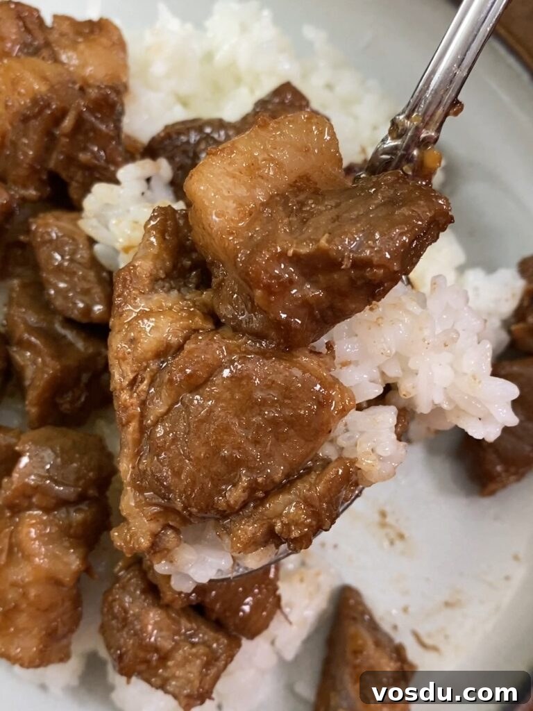 Authentic Filipino Pork Adobo Recipe — Tender, Savory Comfort 2 a spoon of pork adobo and rice