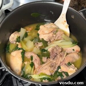 Authentic Filipino Pork Adobo Recipe — Tender, Savory Comfort 11 chicken tinola pot