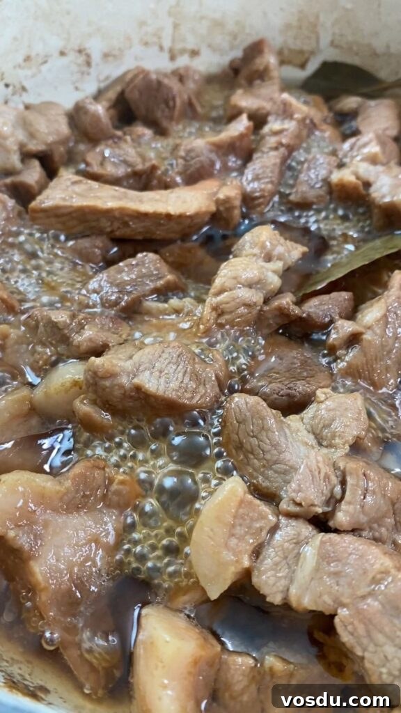 Authentic Filipino Pork Adobo Recipe — Tender, Savory Comfort 7 close up shot of pork simmering in adobo sauce