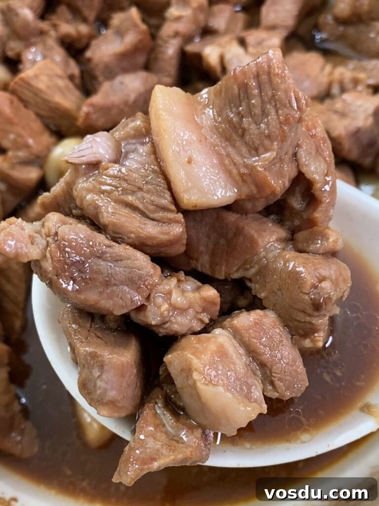 Authentic Filipino Pork Adobo Recipe — Tender, Savory Comfort 8 A spoonful of finished pork adobo