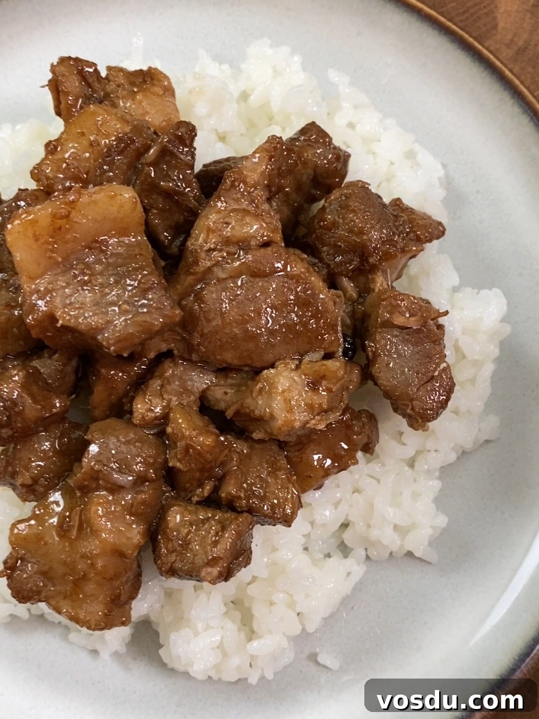 Authentic Filipino Pork Adobo Recipe — Tender, Savory Comfort 10 plated pork adobo over rice