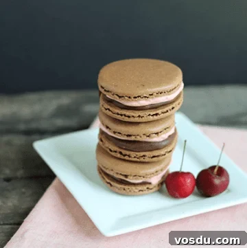 Chocolate Macarons with Cherry Buttercream Filling 2 A stack of chocolate macarons on a white plate.