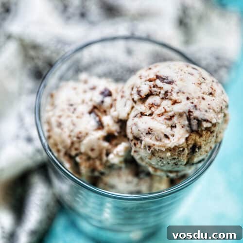bowl of dairy-free chocolate chip ice cream