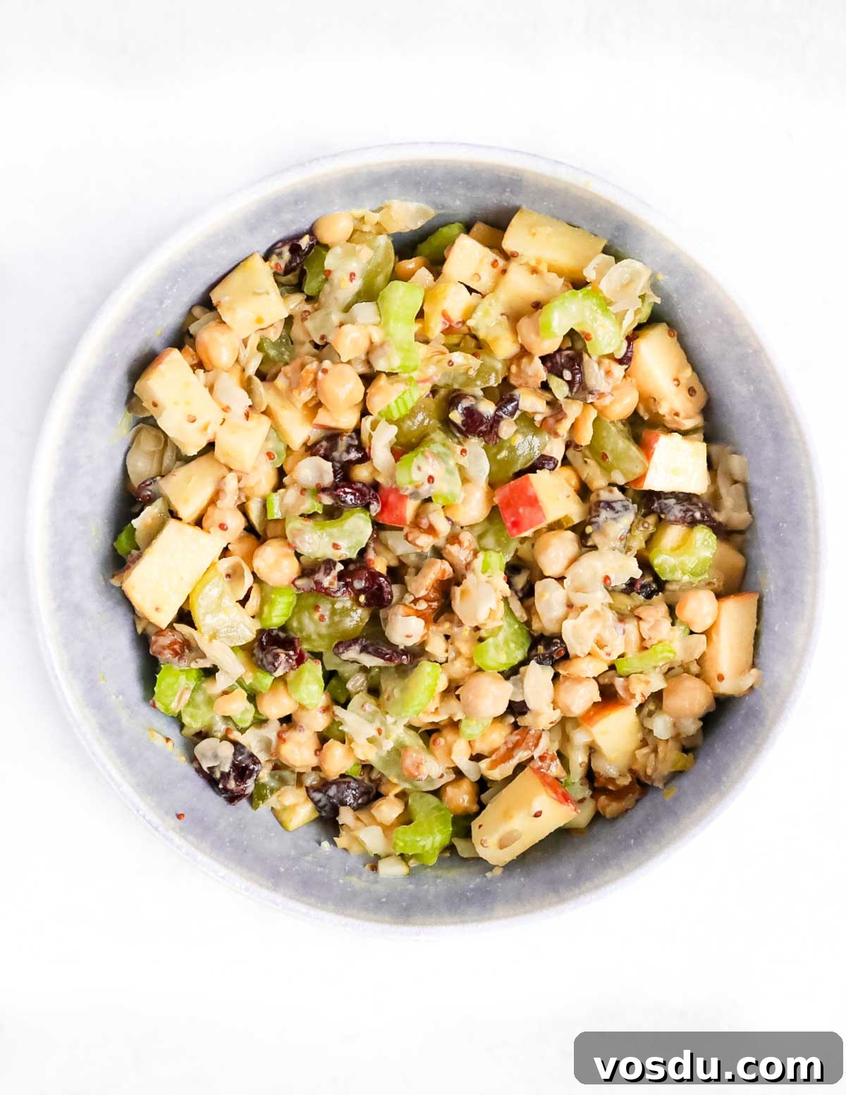 Flavorful Vegan Chickpea Salad with Lemon Herb Dressing 7 Apples, celery, dried cranberries, chickpeas in a bowl.