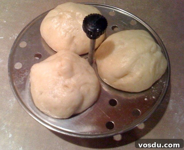 Vegetable Bao Buns: Authentic Chinese Steamed Buns Recipe 6 Rising buns