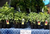 Pepper Place Market 2012: Photos, Highlights & Memories
