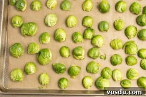 Crispy Roasted Brussels Sprouts with Feta and Lemon Zest 19 This is a picture of a baking sheet of Brussels sprouts.
