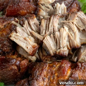 Carnitas dish