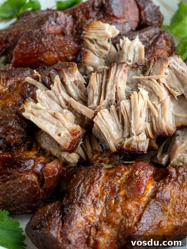 Authentic Mexican Carnitas: Slow-Cooked Pork Confit Recipe 7 Recommended carnitas