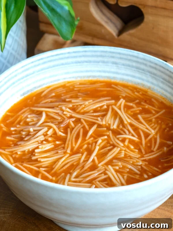 Authentic Mexican Carnitas: Slow-Cooked Pork Confit Recipe 10 Sopa de fideo