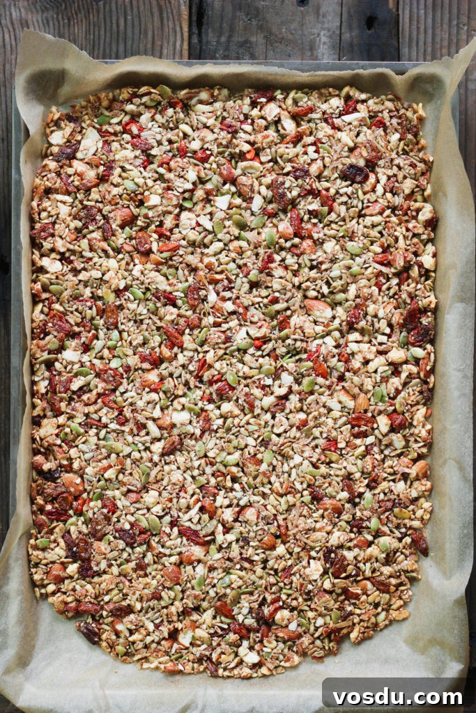 Goji Berry Paleo Granola Recipe for Grain-Free Mornings 3 Goji Berry Paleo Granola