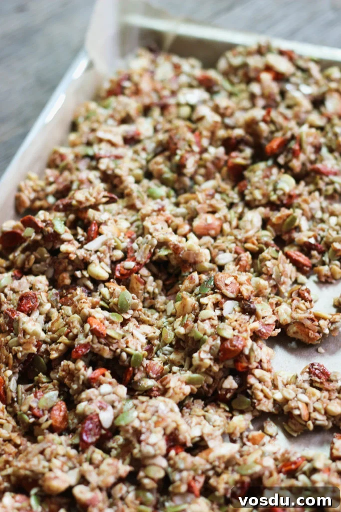 Goji Berry Paleo Granola Recipe for Grain-Free Mornings 4 Goji Berry Paleo Granola