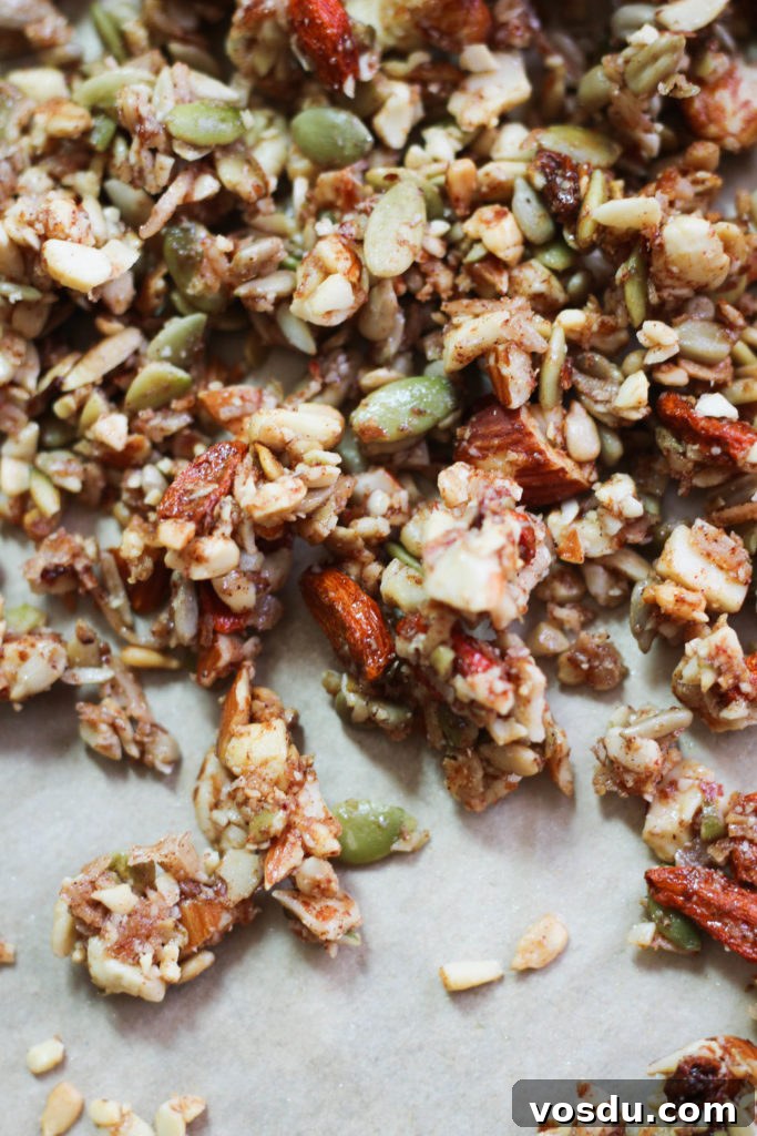 Goji Berry Paleo Granola Recipe for Grain-Free Mornings 6 Goji Berry Paleo Granola