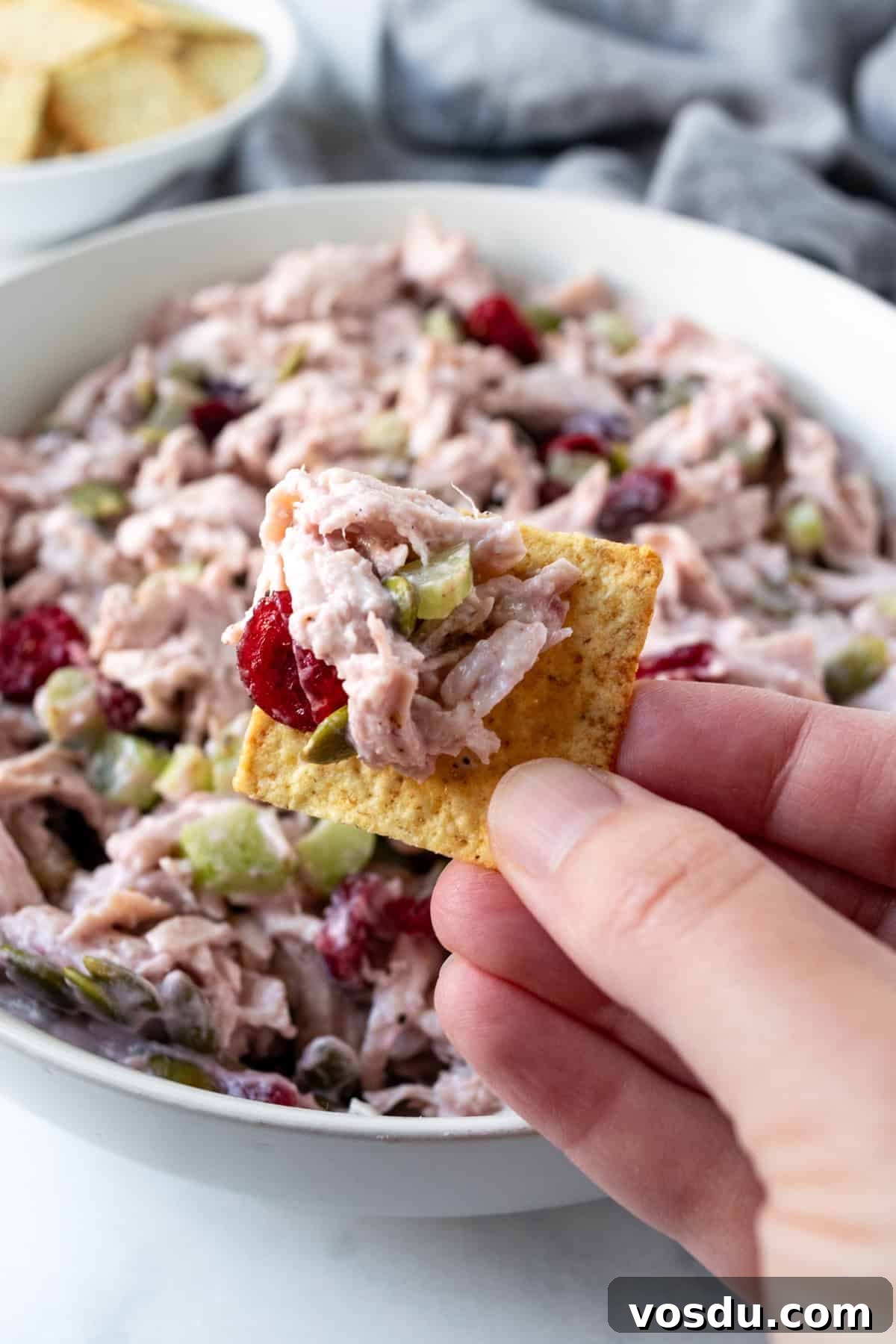 Cranberry Turkey Salad Recipe for Holiday Leftovers 7 A hand holding a cracker with Cranberry Turkey Salad.