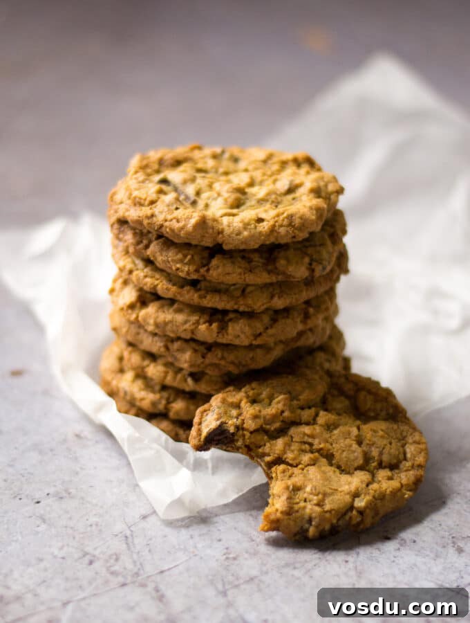 Vegan Chocolate Chip Cookies