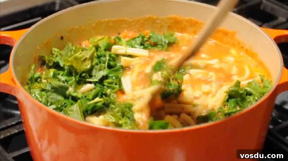 Classic Pasta e Fagioli: Hearty Italian Pasta and Bean Soup 9 Stir Pasta e Fagioli soup and simmer
