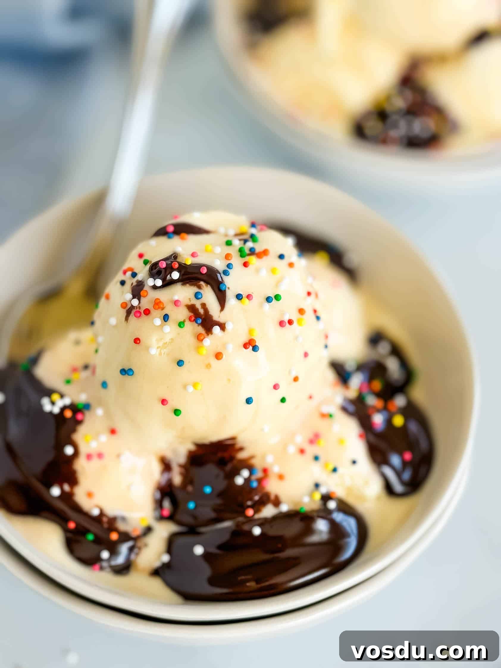Creamy Homemade Vanilla Ice Cream Recipe You’ll Love 2 Hot fudge and vanilla ice cream in a bowl.
