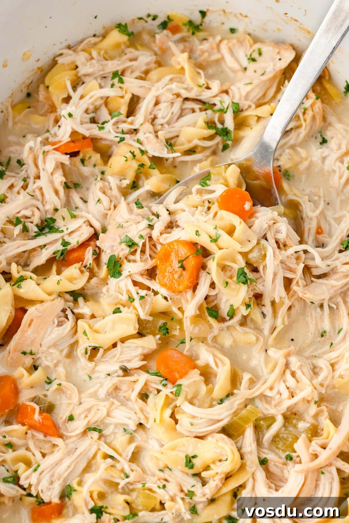 Creamy Slow Cooker Chicken Noodle Soup Recipe 2 Close-up of Slow Cooker Chicken and Noodles with shredded chicken, egg noodles and veggies.