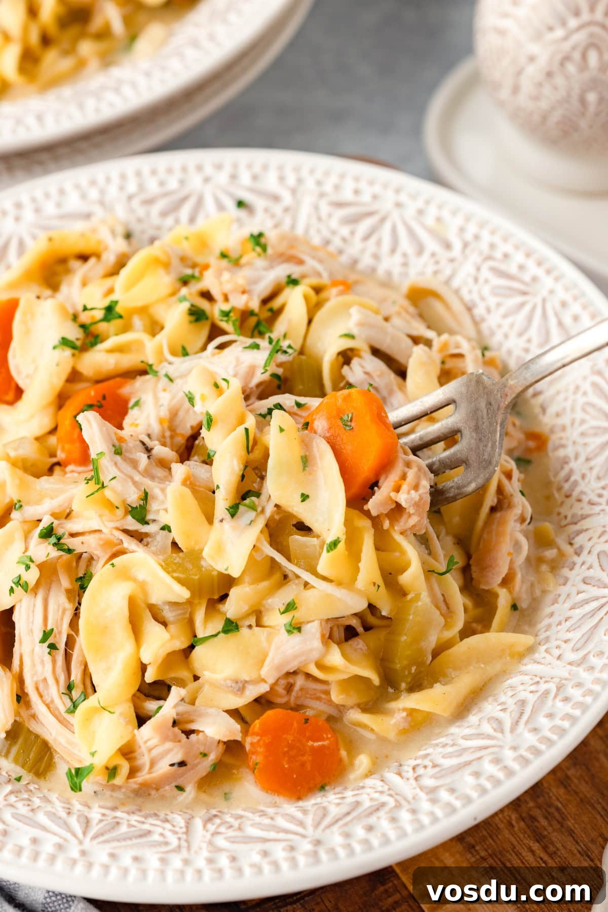 Creamy Slow Cooker Chicken Noodle Soup Recipe 7 A close-up of a bowl of homemade Slow Cooker Chicken and Noodles.