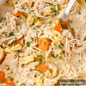 A close-up of creamy slow cooker chicken and noodle.