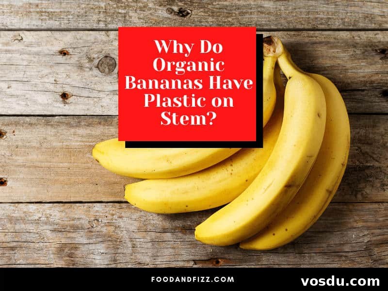 Why Do Organic Bananas Have Plastic on the Stem? Explained 2 Why Do Organic Bananas Have Plastic on Stem?