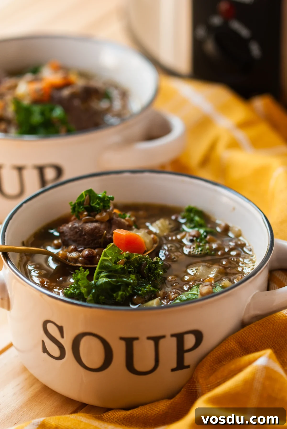 Hearty Slow Cooker Beef and Lentil Soup Recipe 2 slow cooker beef and lentil soup in bowls.