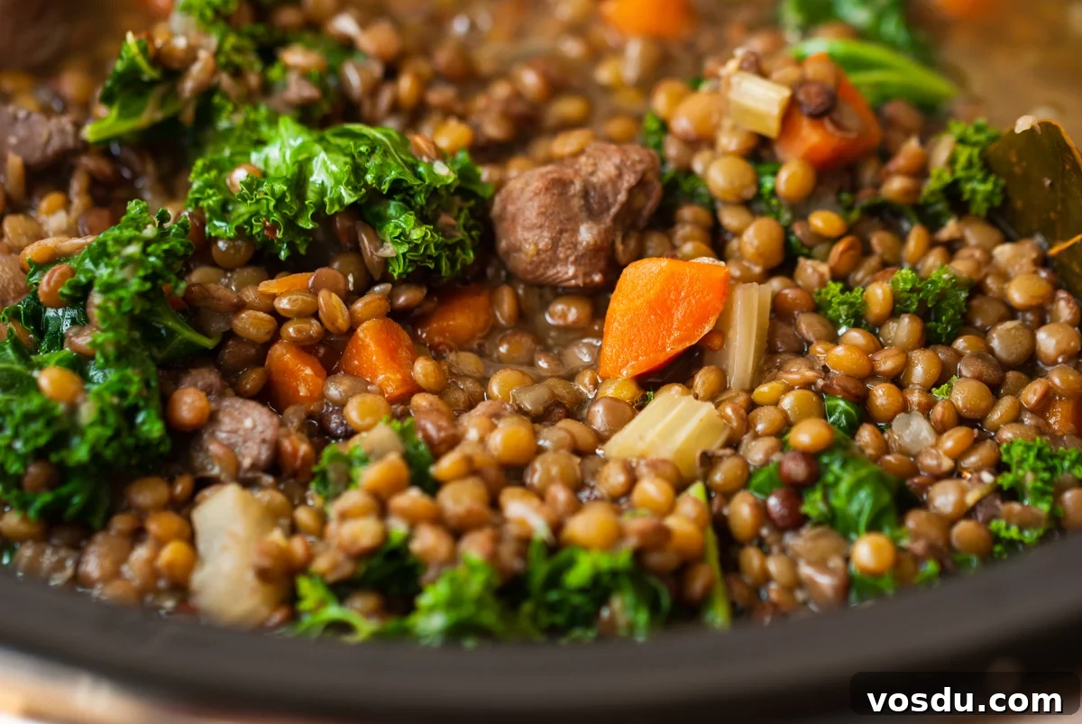 Hearty Slow Cooker Beef and Lentil Soup Recipe 5 close-up of slow cooker beef and lentil soup.