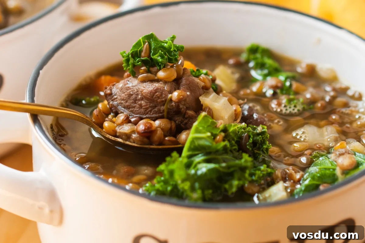 Hearty Slow Cooker Beef and Lentil Soup Recipe 6 close-up of slow cooker beef and lentil soup in a bowl.