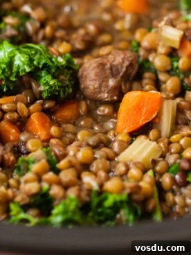 Hearty Slow Cooker Beef and Lentil Soup Recipe 7 close-up of slow cooker beef and lentil soup.