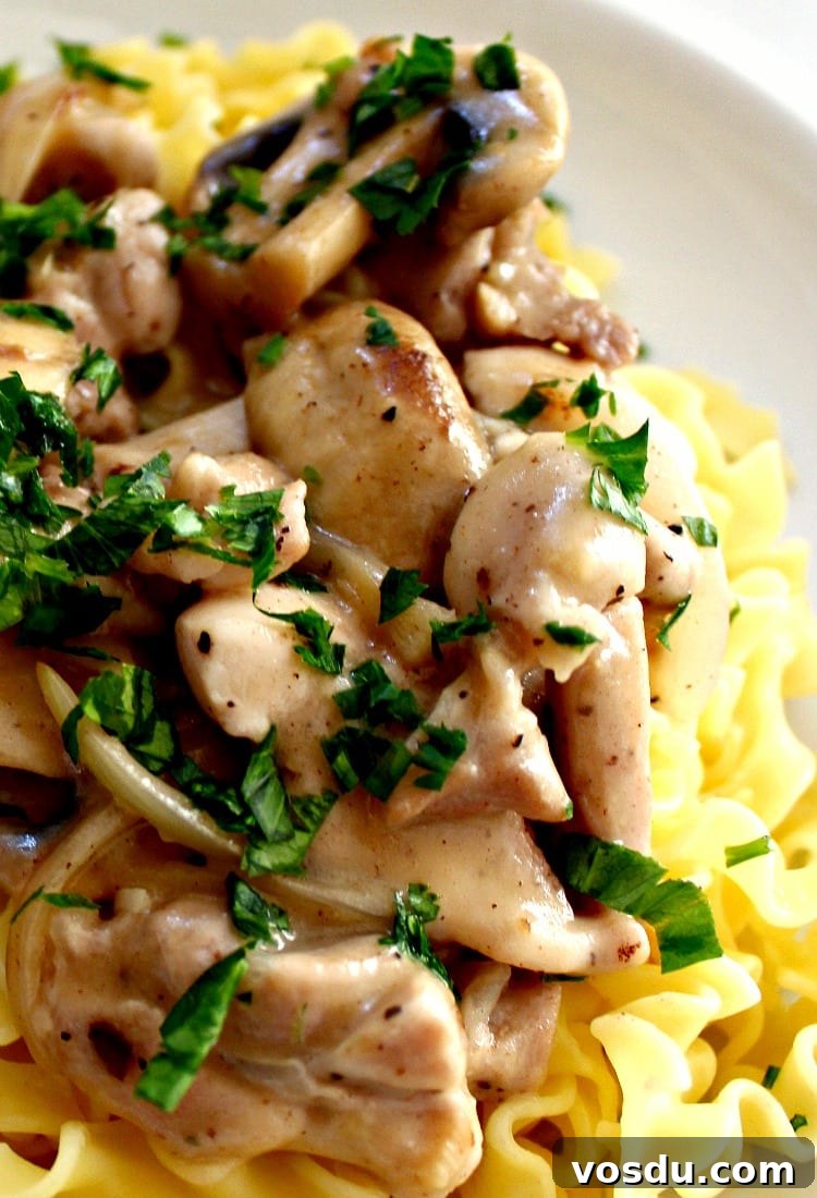 Creamy Chicken Stroganoff Recipe: Quick Weeknight Dinner Idea 6 Creamy Chicken Stroganoff is a quick and easy dinner, with delicious strips of chicken and sauteed mushrooms in a creamy sauce using low fat yogurt!