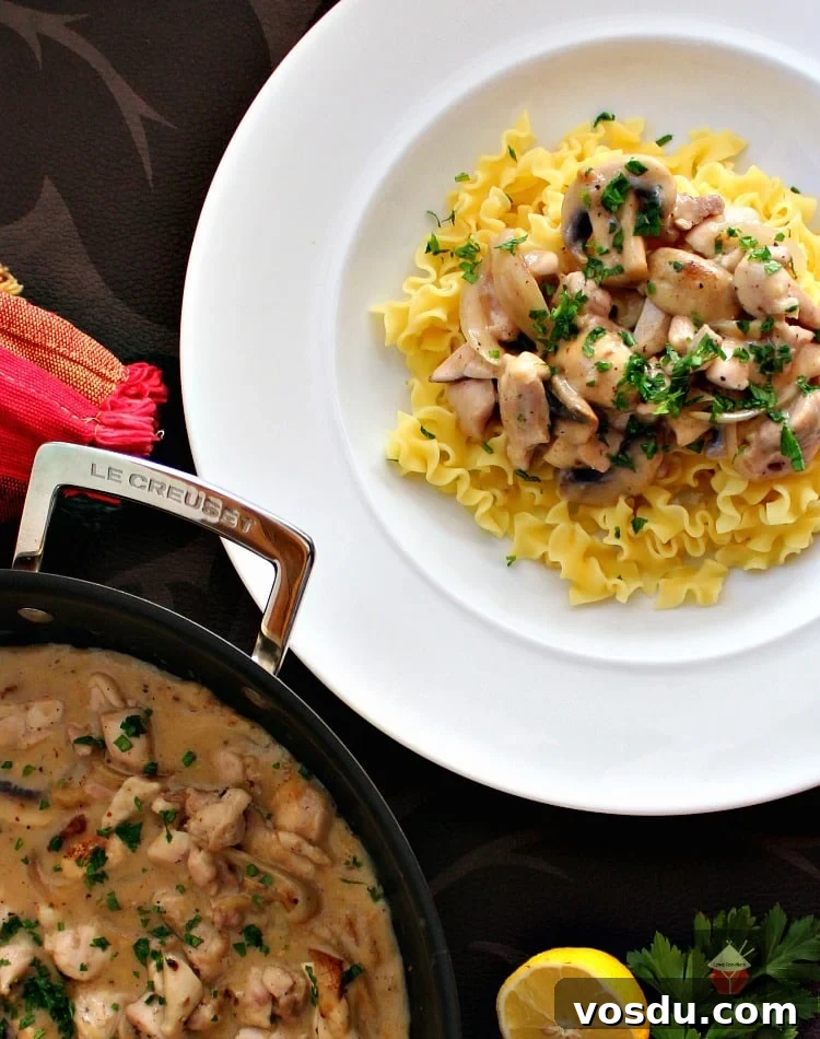 Creamy Chicken Stroganoff Recipe: Quick Weeknight Dinner Idea 7 Creamy Chicken Stroganoff is a quick and easy dinner, with delicious strips of chicken and sauteed mushrooms in a creamy sauce using low fat yogurt!