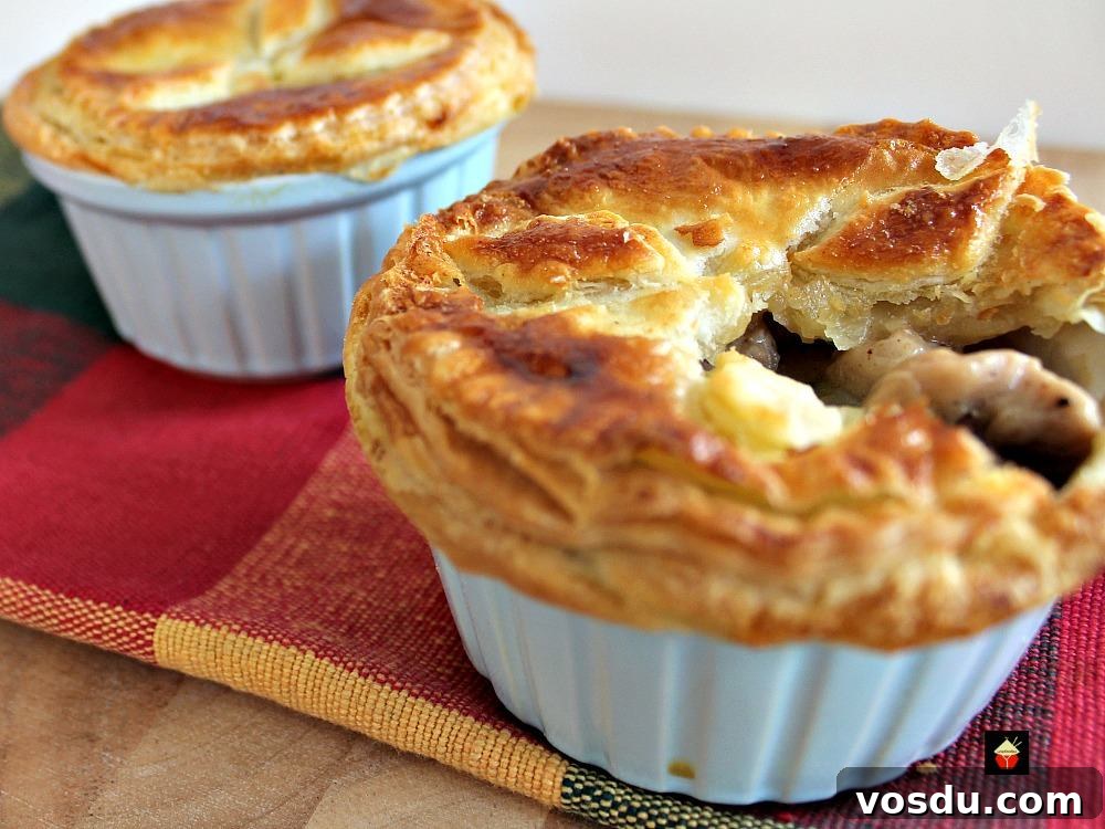 Creamy Chicken Stroganoff Recipe: Quick Weeknight Dinner Idea 3 Mini Chicken Stroganoff Pot Pies with a to die for flaky buttery pie crust. Serve piping hot from the oven! So good!